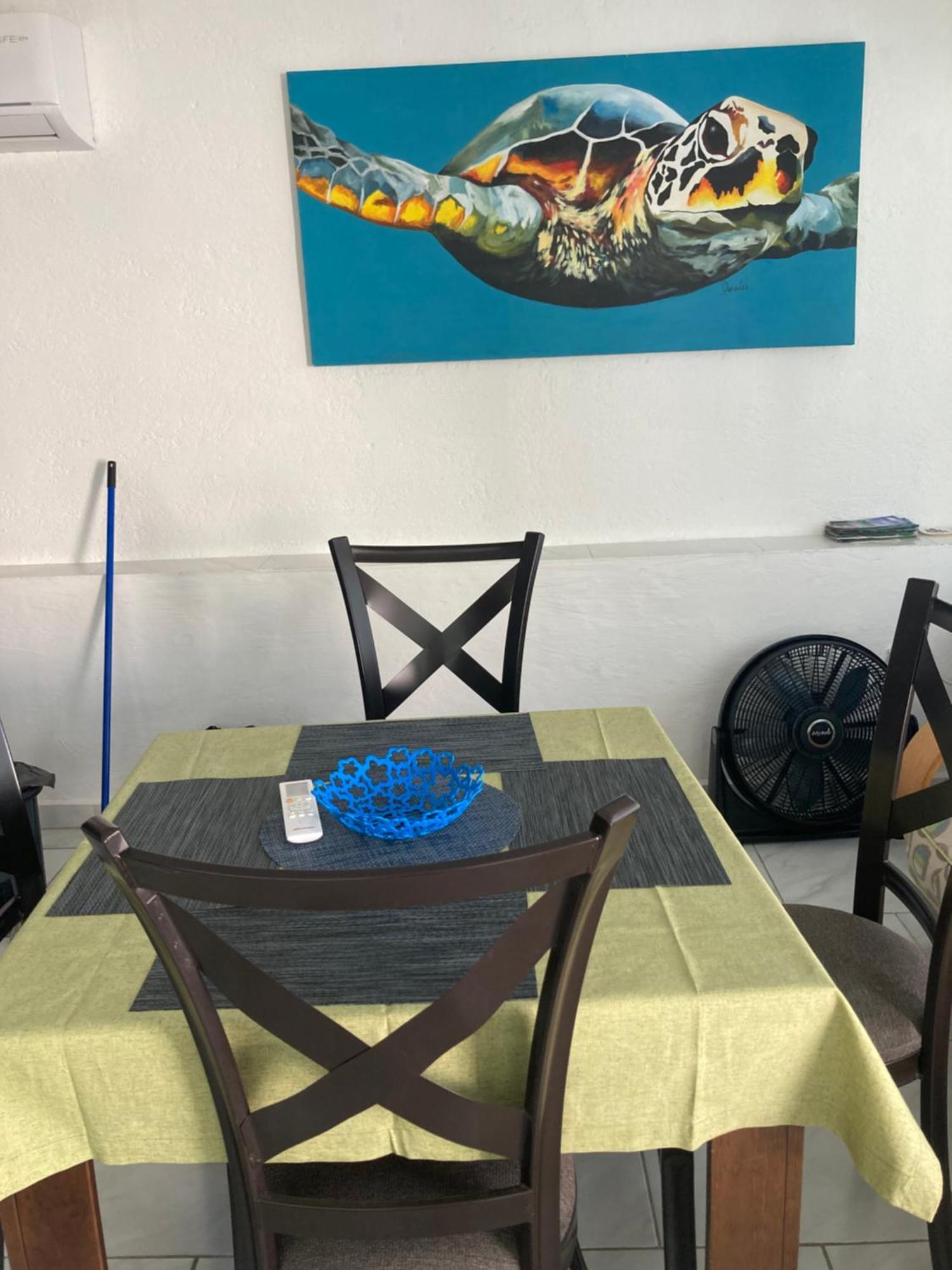 Cancun Oceanfront, Entire Apartment ภายนอก รูปภาพ